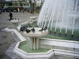  [photo from Istanbul, April, 2009]