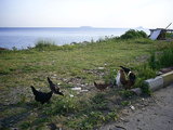  [photo from Istanbul, April, 2009]