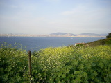  [photo from Istanbul, April, 2009]