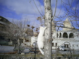  [photo]