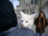  [photo]