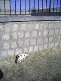  [photo]