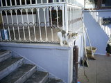  [photo]