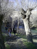  [photo]