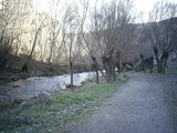  [photo]