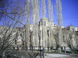  [photo]