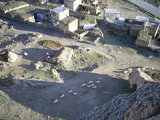  [photo]