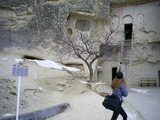  [photo]