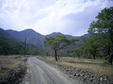  [photo from Çıralı, 2009]
