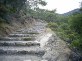  [photo from Çıralı, 2009]