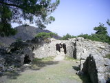  [photo from Çıralı, 2009]