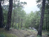  [photo from Çıralı, 2009]