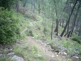  [photo from Çıralı, 2009]