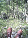  [photo from Çıralı, 2009]