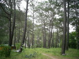  [photo from Çıralı, 2009]