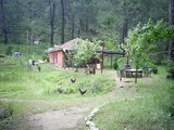  [photo from Çıralı, 2009]