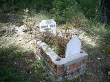  [photo from Çıralı, 2009]