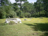  [photo from Çıralı, 2009]