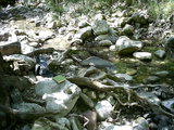  [photo from Çıralı, 2009]