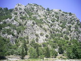  [photo from Çıralı, 2009]