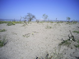  [photo from Ibrahimpa�a, April, 2010]