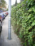  [photo]