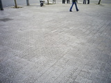  [photo]