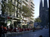  [photo]