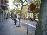  [photo]