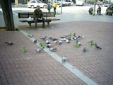  [photo]