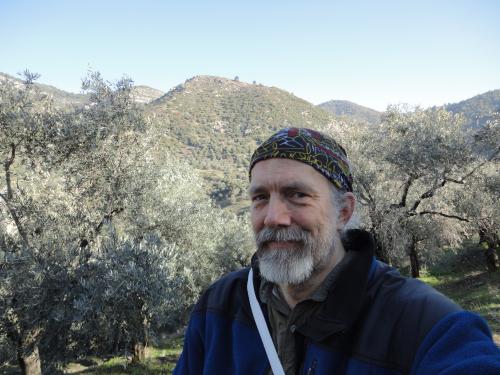 Şirince zeytinliği, Ocak, 2016 // Olive grove in Şirince, January, 2016 Şirince zeytinliği // Olive grove in Şirince